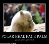POLAR BEAR FACEPALM