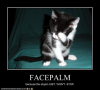 FACEPALM