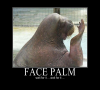 FACE PALM