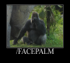 FACEPALM