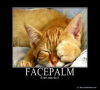 FACEPALM